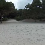 Regina אלגהרו