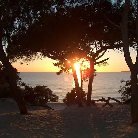 Apartamento Regina Alguer