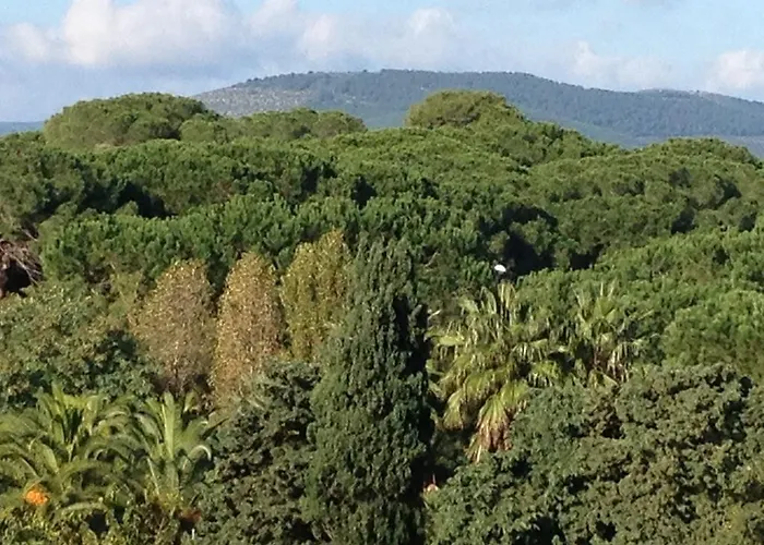 Regina Apartment Alghero