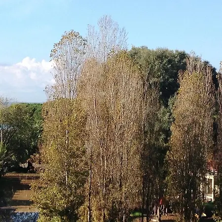 Regina Appartamento
