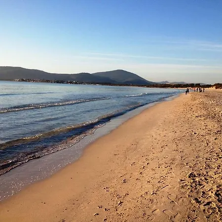 Regina Appartement *